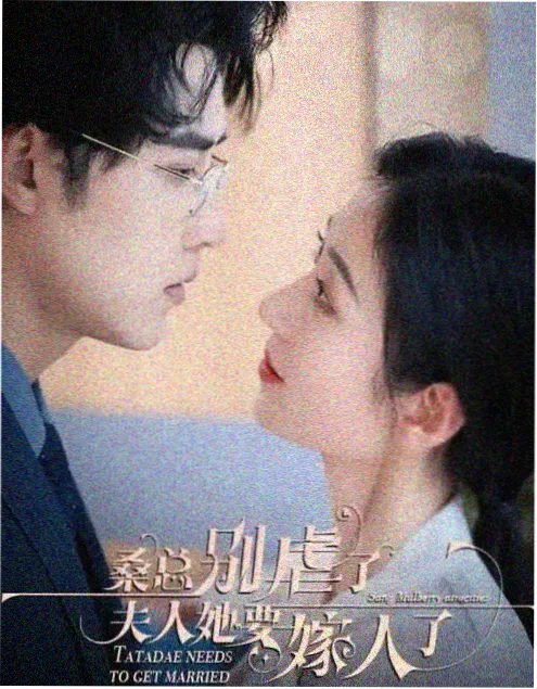 山河故人续章海报